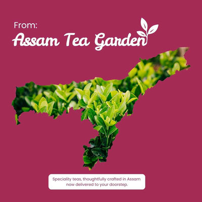 Jasmine Green Tea – Improves Heart Health & Manages Weight – 50g – Tea on Brown Living™. SKU: SRTin50New. Img 10.