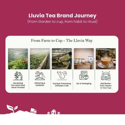 Jasmine Green Tea – Improves Heart Health & Manages Weight – 50g – Tea on Brown Living™. SKU: SRTin50New. Img 7.
