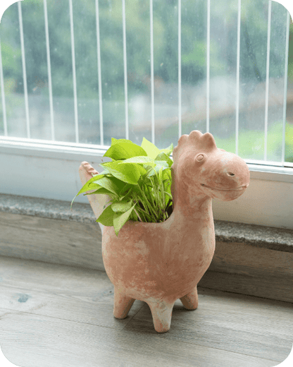 Jurassic Dinosaur Earthen Planter – Pots & Planters by Swadeh available on Brown Living™. . SKU: A0_plt_0025. Img 1.