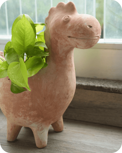 Jurassic Dinosaur Earthen Planter – Pots & Planters by Swadeh available on Brown Living™. . SKU: A0_plt_0025. Img 2.