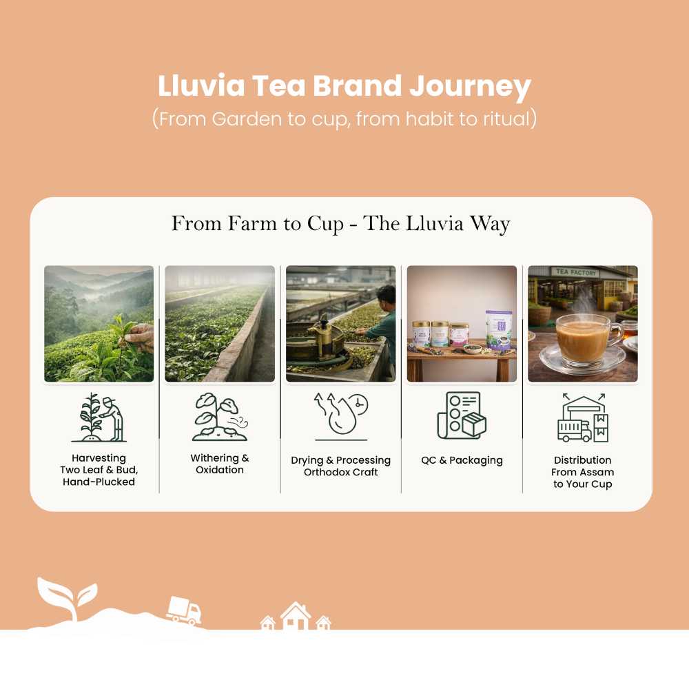 Kadak Masala Chai – Immunity & Metabolism Boost – 70g – Tea on Brown Living™. SKU: KKTin50New. Img 7.