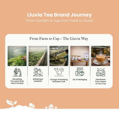 Kadak Masala Chai – Immunity & Metabolism Boost – 70g – Tea on Brown Living™. SKU: KKTin50New. Img 7.