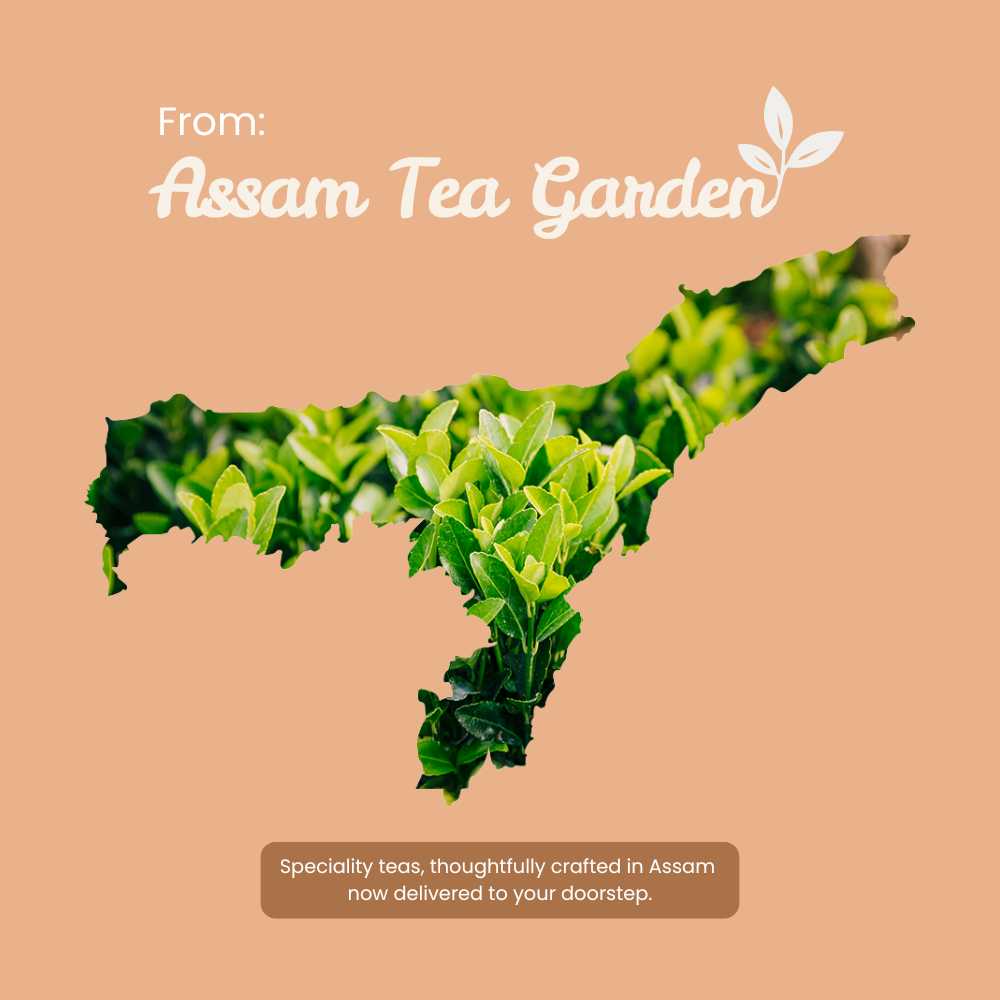 Kadak Masala Chai – Immunity & Metabolism Boost – 70g – Tea on Brown Living™. SKU: KKTin50New. Img 8.