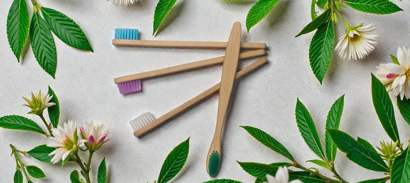 Kids Bamboo Toothbrush Pack Of 4 Eco Friendly Toothbrush – Tooth Brush on Brown Living™. SKU: OEB005. Img 4.