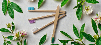Kids Bamboo Toothbrush Pack Of 4 Eco Friendly Toothbrush – Tooth Brush on Brown Living™. SKU: OEB005. Img 4.