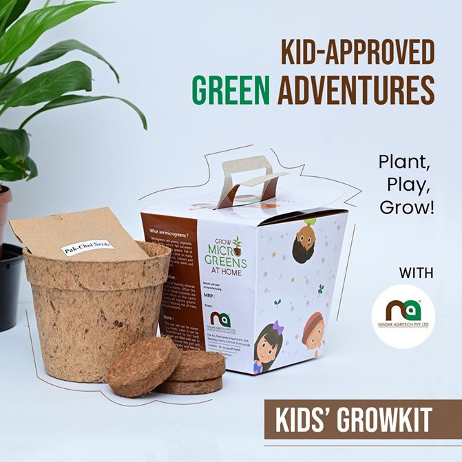 Kids DIY Microgreens Kit - Amaranth and China Rose Radish seeds | Verified Sustainable by Brown Living™