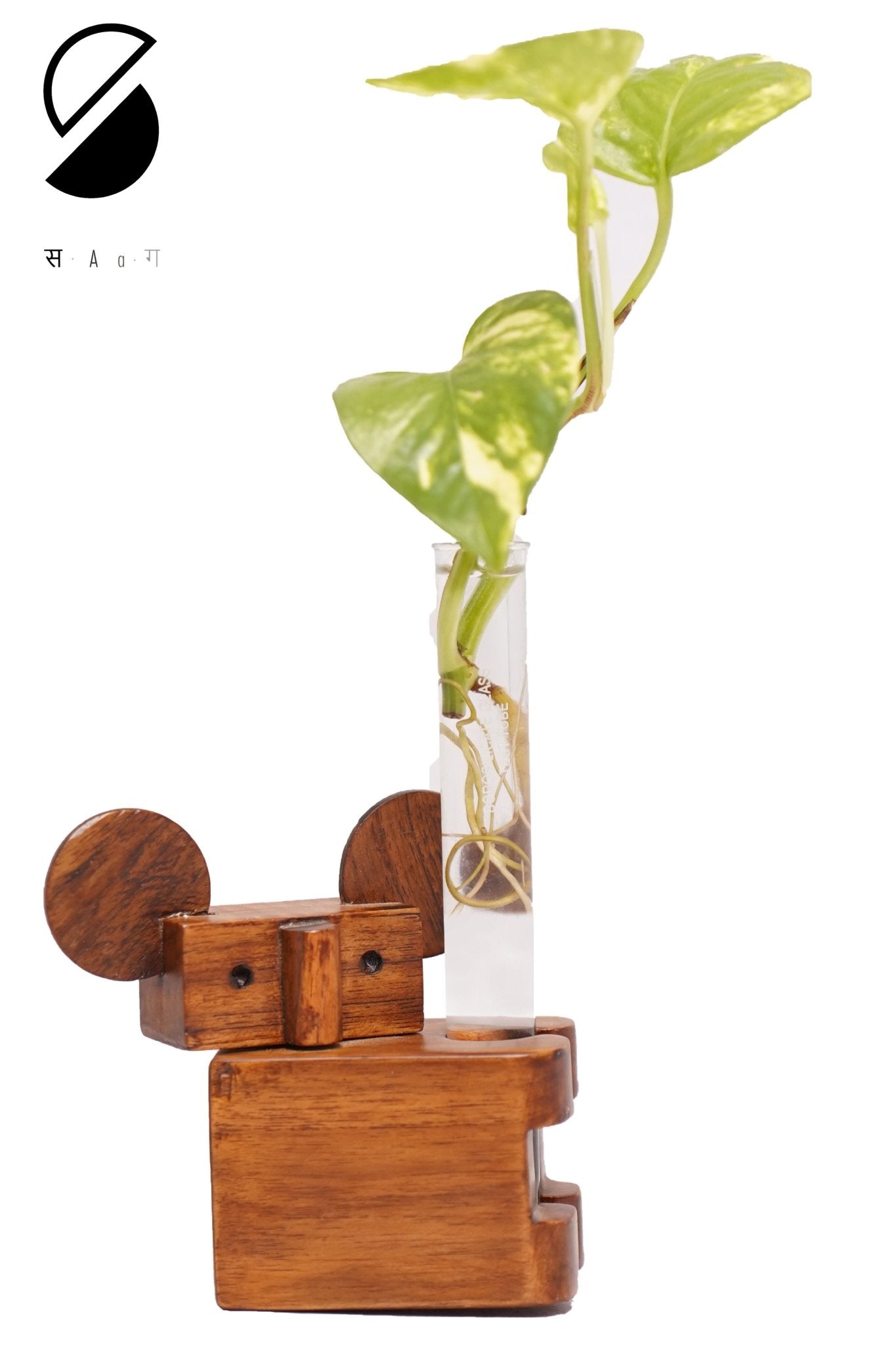 Koala Test Tube Planter | Wooden Desk Plant Holder – Pots & Planters on Brown Living™. SKU: TTPK. Img 1.