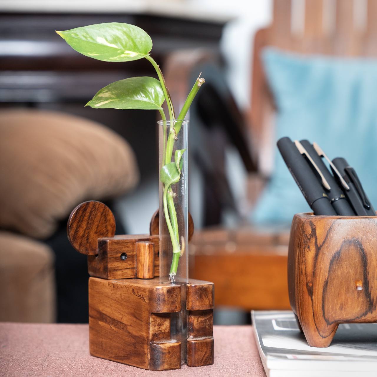Koala Test Tube Planter | Wooden Desk Plant Holder – Pots & Planters on Brown Living™. SKU: TTPK. Img 4.