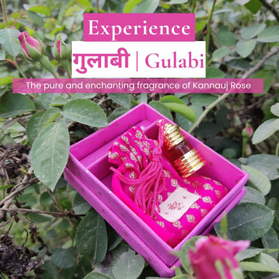 गुलाबी | Gulabi Natural Perfume Oil (Indian Rose Attar) – Essential Oils by Boond Fragrances available on Brown Living™. 12ml . SKU: BF04b. Img 6.
