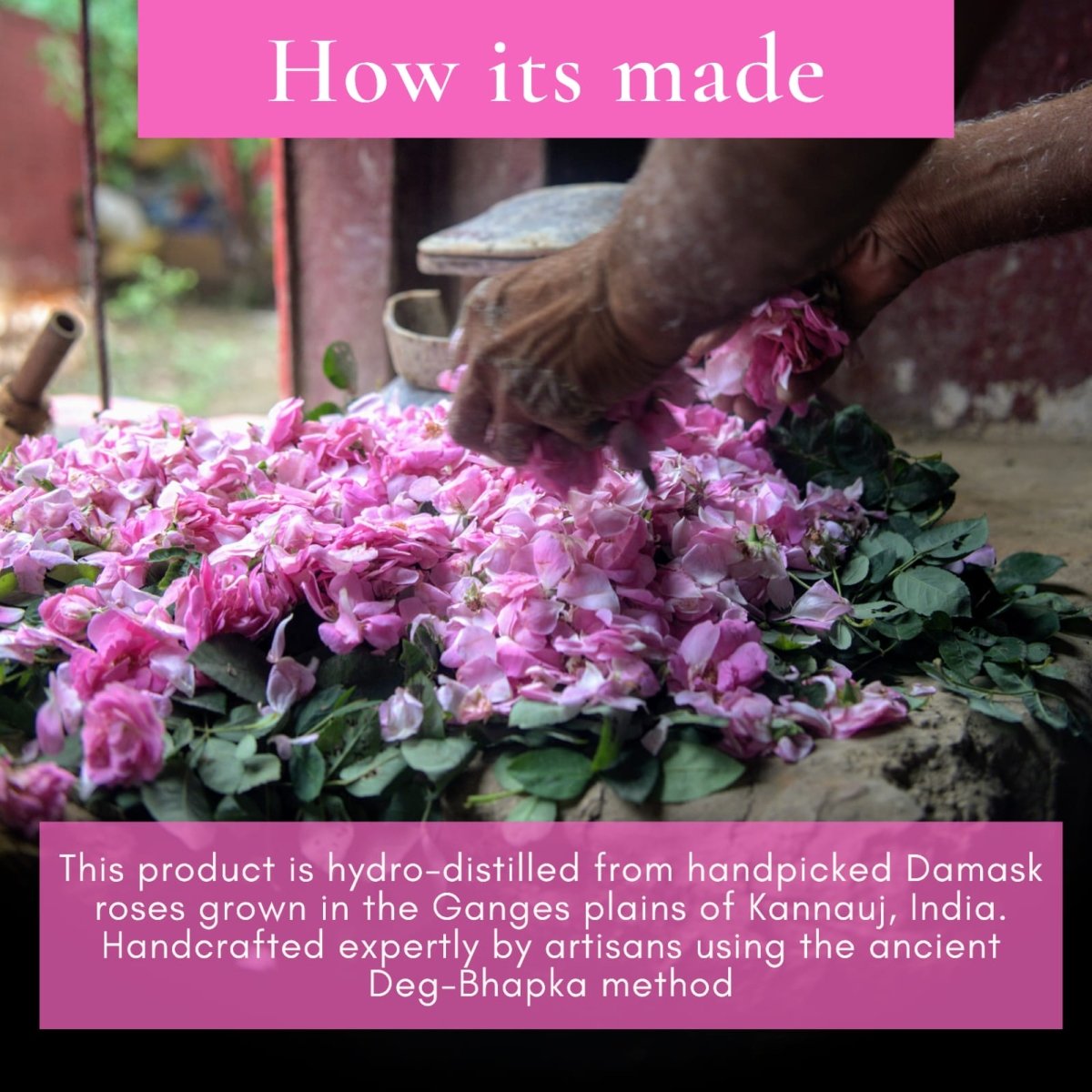 शुद्ध गुलाब जल | Pure Rose Water – Face Toner by Boond Fragrances available on Brown Living™. . SKU: BFGJ. Img 3.