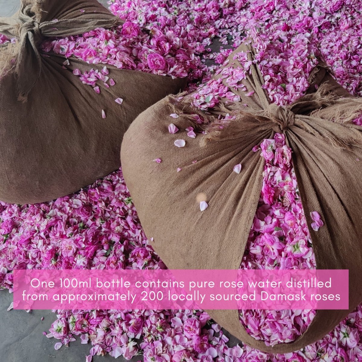 शुद्ध गुलाब जल | Pure Rose Water – Face Toner by Boond Fragrances available on Brown Living™. . SKU: BFGJ. Img 5.