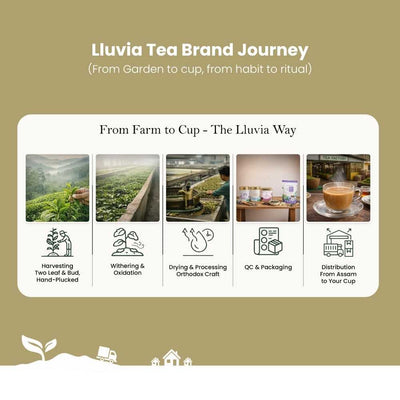 Lemongrass Ginger Green Tea – Relieve Anxiety & Detox – 50g – Tea on Brown Living™. SKU: SGTin50New. Img 7.