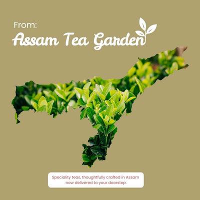 Lemongrass Ginger Green Tea – Relieve Anxiety & Detox – 50g – Tea on Brown Living™. SKU: SGTin50New. Img 10.