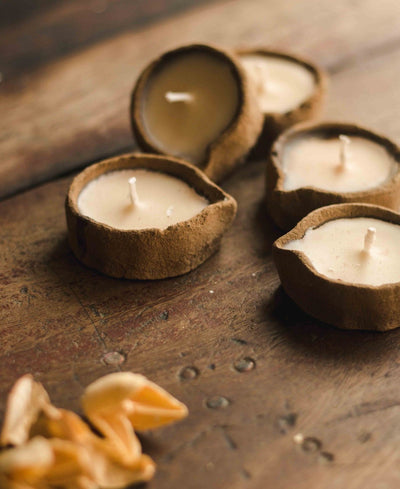 Lemongrass Scented Soy Wax Cowdung Diyas - Set of 5 – Candles & Fragrances on Brown Living™. SKU: SN12124. Img 10.