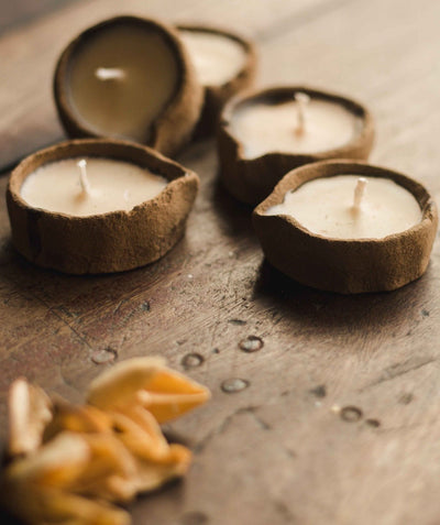 Lemongrass Scented Soy Wax Cowdung Diyas - Set of 5 – Candles & Fragrances on Brown Living™. SKU: SN12124. Img 5.