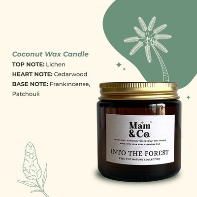 Into the Forest - 100% Coconut Wax Botanical Candle – Candles & Fragrances on Brown Living™. SKU: BC10001. Img 4.