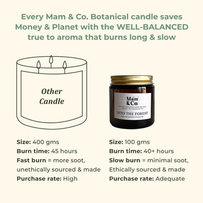 Into the Forest - 100% Coconut Wax Botanical Candle – Candles & Fragrances on Brown Living™. SKU: BC10001. Img 5.
