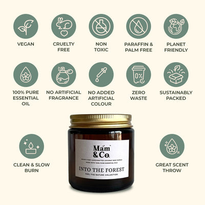 Into the Forest - 100% Coconut Wax Botanical Candle – Candles & Fragrances on Brown Living™. SKU: BC10001. Img 6.