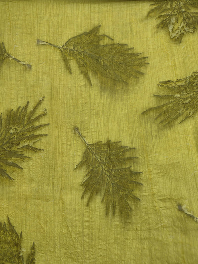 Marigold Ecoprinted Muga Silk Saree Natural Dye – Womens Saree on Brown Living™. SKU: MTS5. Img 6.