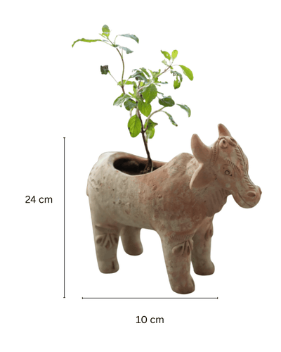 Meadow Cow Handcrafted Animal Themed Clay Planter – Pots & Planters on Brown Living™. SKU: A0_plt_0056. Img 8.