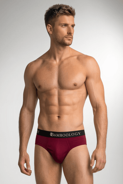 Men’s Bamboo Fabric Frenchie Fit Underwear – Mens Underwear on Brown Living™. SKU: MENS-FRENCHIE-NAVY-MARON-S-n. Img 12.