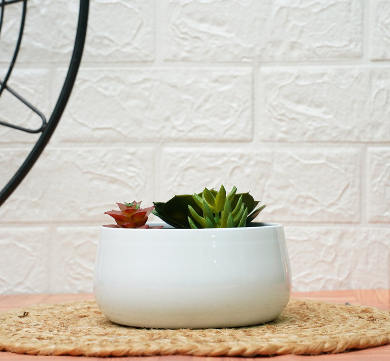 Metal Planters For Living Room - White (Pack of 1) | Verified Sustainable Pots & Planters on Brown Living™