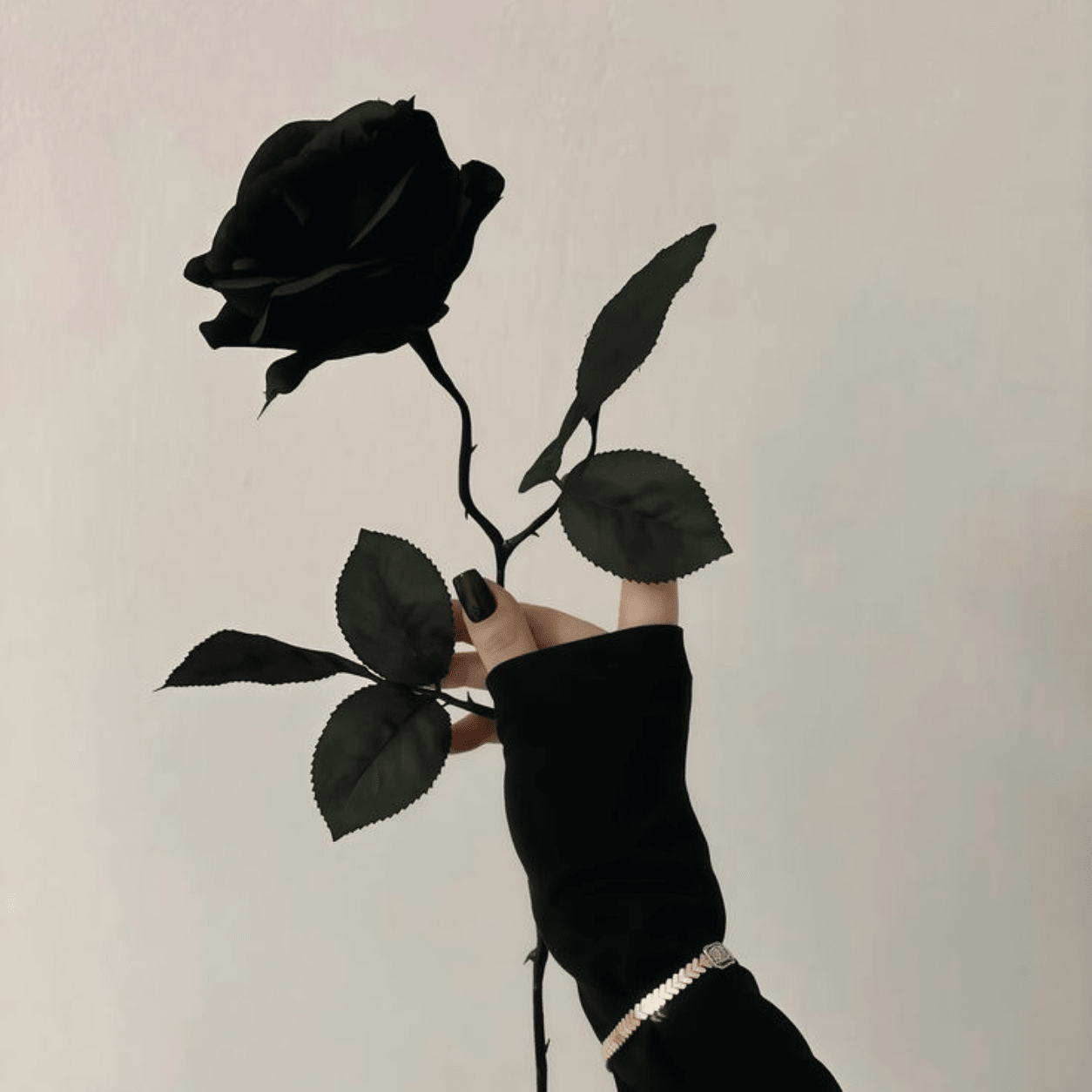 Midnight Noir Preserved Real Rose | Long Lasting Luxury Floral Gift – Gift Giving on Brown Living™. SKU: v-422. Img 7.