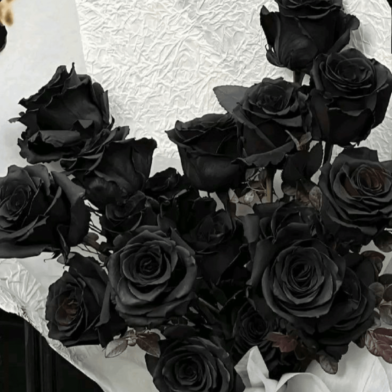 Midnight Noir Preserved Real Rose | Long Lasting Luxury Floral Gift – Gift Giving on Brown Living™. SKU: v-422. Img 8.