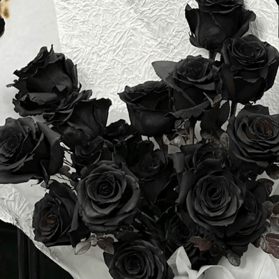 Midnight Noir Preserved Real Rose | Long Lasting Luxury Floral Gift – Gift Giving on Brown Living™. SKU: v-422. Img 8.