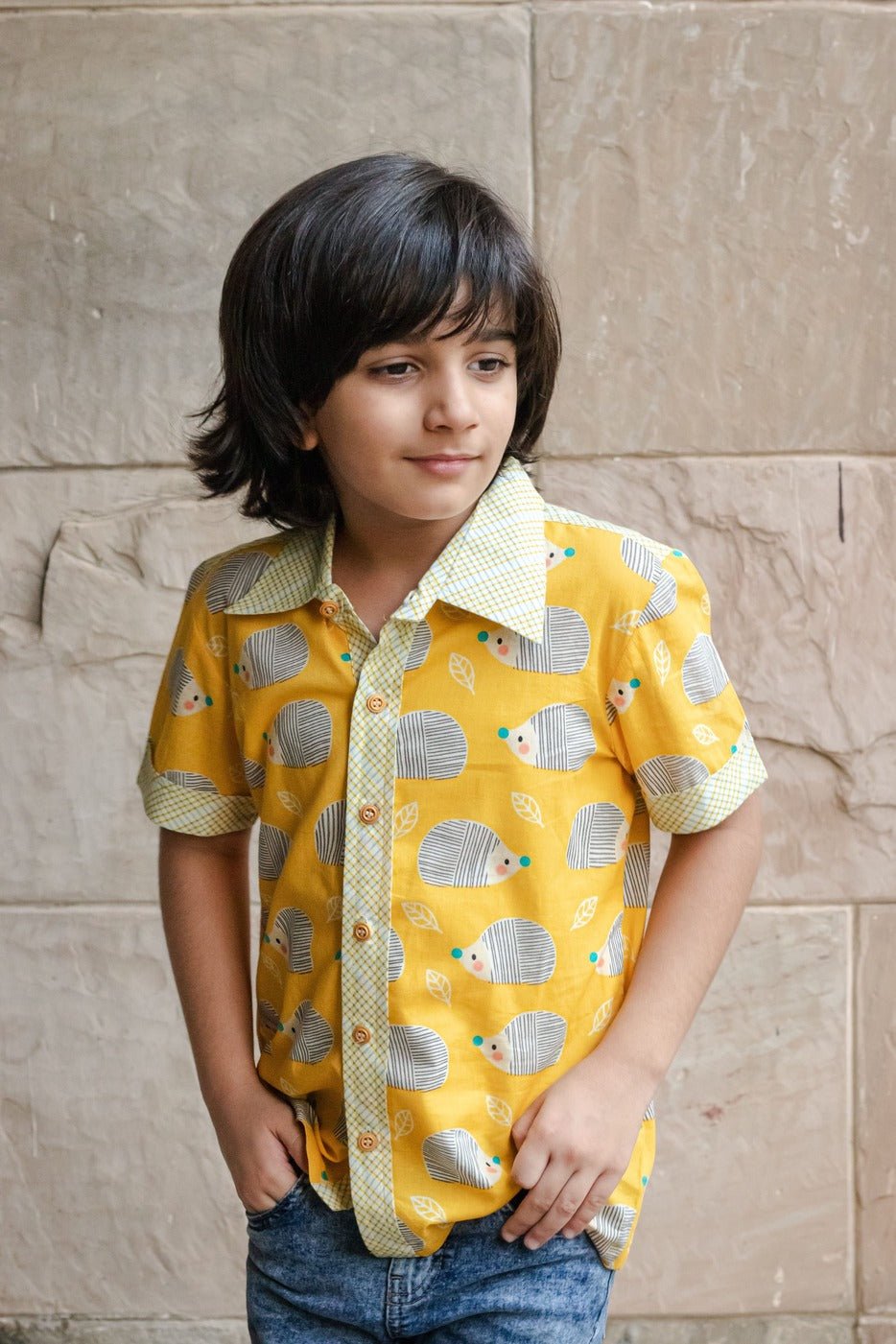 Milo Shirt I Yellow Hedgehog Print Cotton Shirt for Boys – Kids Daywear Sets on Brown Living™. SKU: ZBHSA. Img 1.