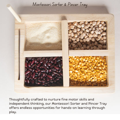 Montessori Wooden Tray and Sorter | Early Learning Activity Toy – Learning & Educational Toys on Brown Living™. SKU: TTOE005. Img 3.