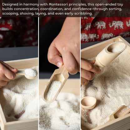 Montessori Wooden Tray and Sorter | Early Learning Activity Toy – Learning & Educational Toys on Brown Living™. SKU: TTOE005. Img 4.