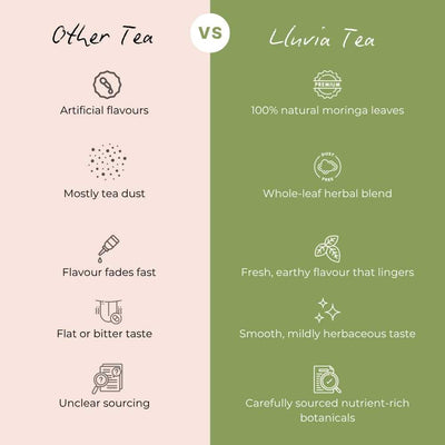 Moringa Boost Green Tea – Nutrient-Rich Vitality – 50g – Tea on Brown Living™. SKU: PWTin50New. Img 6.
