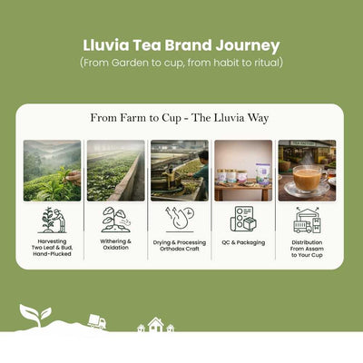 Moringa Boost Green Tea – Nutrient-Rich Vitality – 50g – Tea on Brown Living™. SKU: PWTin50New. Img 7.