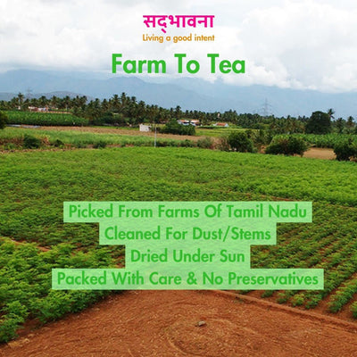 Multipurpose Moringa Tea Leaves (40g) | Pure Dried Moringa – Tea on Brown Living™. SKU: moringa1. Img 4.