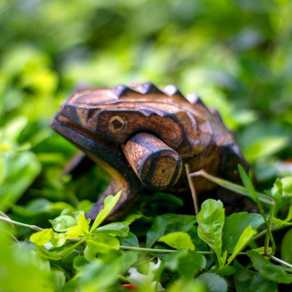 Musical Wooden Frog | Verified Sustainable by Brown Living™