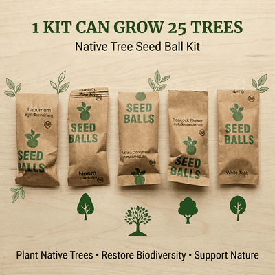 Native Tree Seed Ball Kit 25 Pack Eco Reforestation Seed Bombs – Seeds on Brown Living™. SKU: DOS-ORG-SEED-01. Img 4.