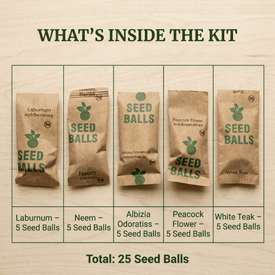 Native Tree Seed Ball Kit 25 Pack Eco Reforestation Seed Bombs – Seeds on Brown Living™. SKU: DOS-ORG-SEED-01. Img 2.