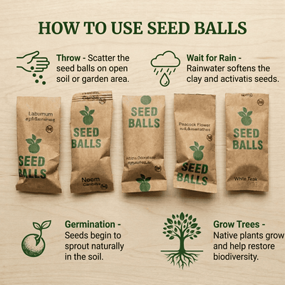 Native Tree Seed Ball Kit 25 Pack Eco Reforestation Seed Bombs – Seeds on Brown Living™. SKU: DOS-ORG-SEED-01. Img 3.