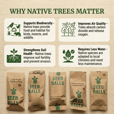 Native Tree Seed Ball Kit 25 Pack Eco Reforestation Seed Bombs – Seeds on Brown Living™. SKU: DOS-ORG-SEED-01. Img 5.