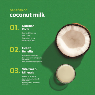 Natural Coconut Milk | Pack of 1 | Pure, Creamy & Dairy - Free – Vegan Milk on Brown Living™. SKU: NCM - 400 - 1. Img 3.