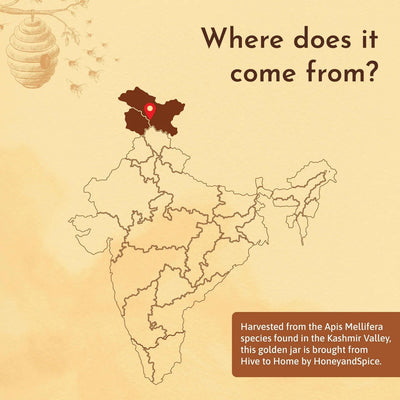 Natural Himalayan Honey – Honey & Syrups on Brown Living™. SKU: KH250GM. Img 2.