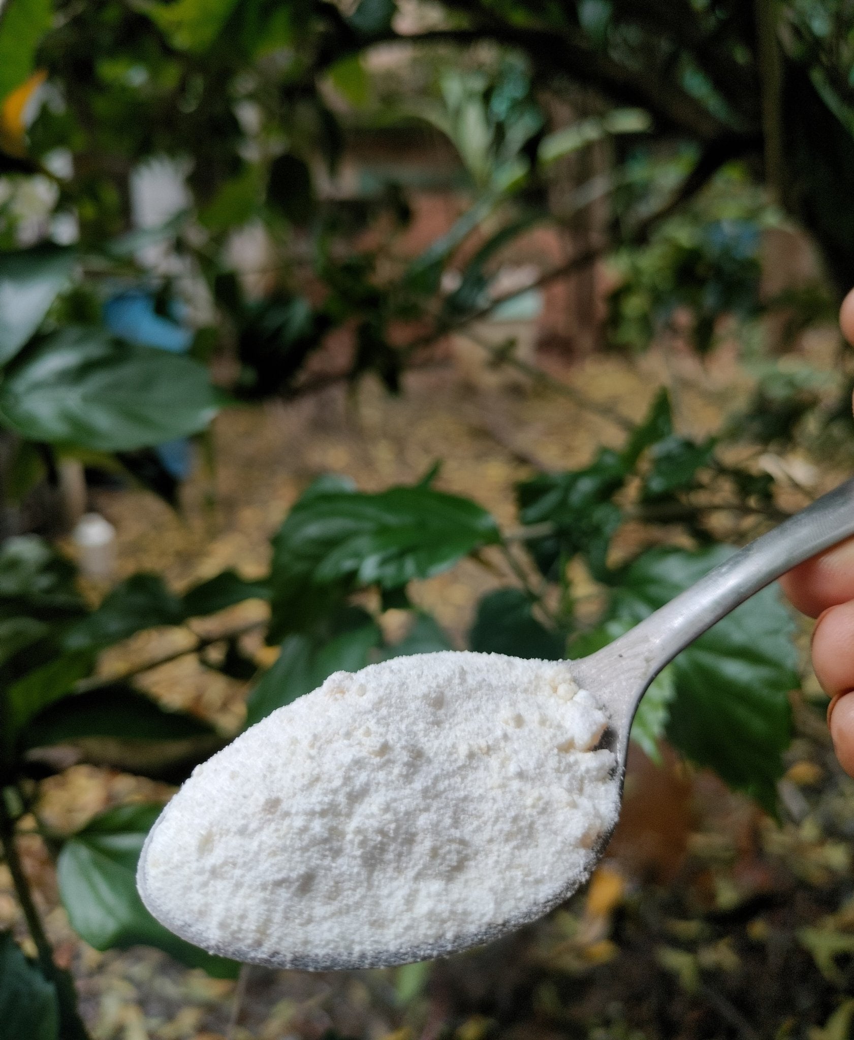 Natural Laundry Powder - 1 kg | Verified Sustainable by Brown Living™