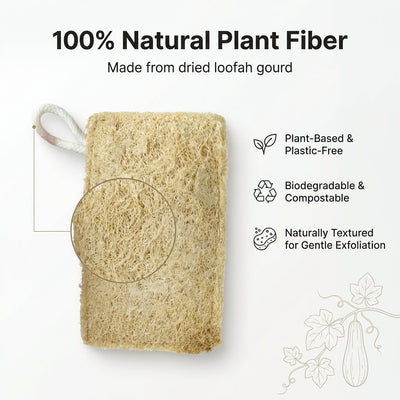 Natural Loofah Scrubber Pack Of 5 Plastic Free Body Exfoliator – Bath Accessories on Brown Living™. SKU: DOS-ORG-LOOFAH-01. Img 6.