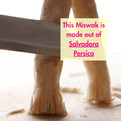 Natural Miswak Stick | Organic Datun | Pack of 10 – Oral Care on Brown Living™. SKU: B0FZC3Y95M. Img 5.
