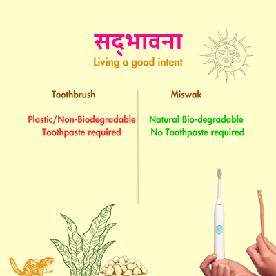 Natural Miswak Stick | Organic Datun | Pack of 10 – Oral Care on Brown Living™. SKU: B0FZC3Y95M. Img 6.