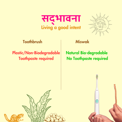 Natural Miswak Stick | Organic Datun | Pack of 10 – Oral Care on Brown Living™. SKU: B0FZC3Y95M. Img 6.