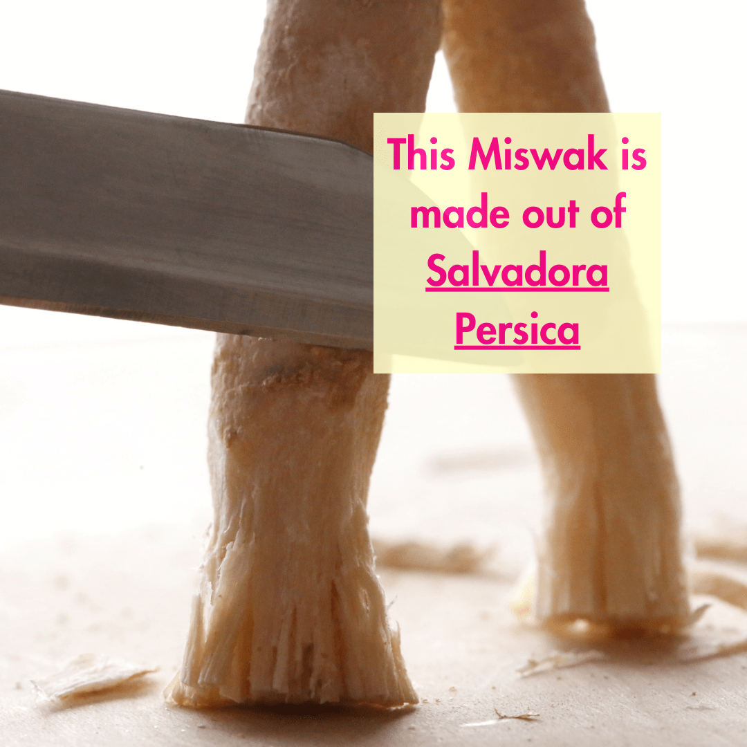 Natural Miswak Stick | Organic Datun | Pack of 5 – Oral Care on Brown Living™. SKU: B0FZSRLDMV. Img 5.