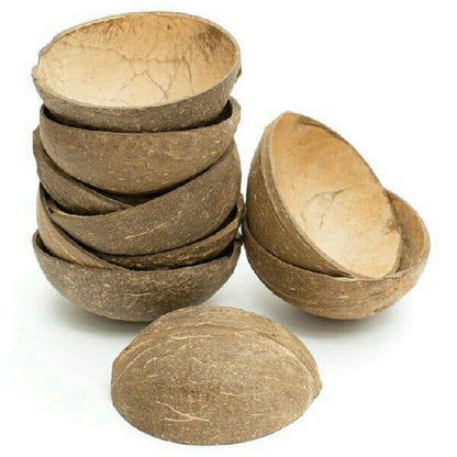 Natural Oval Coconut Shell Bowls - 150ml (Set of 10) | Verified Sustainable by Brown Living™