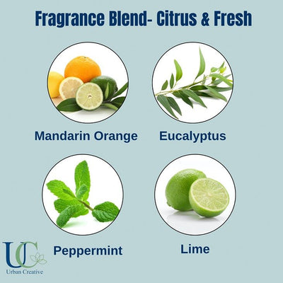 Natural Scented Wax Tablet - Orange, Peppermint & Eucalyptus - 1 or 2 – Candles & Fragrances on Brown Living™. SKU: UC - 58 / SWT_OPE. Img 12.